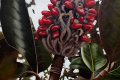 'Magnolia Seed Pod'