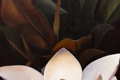 'Warm Magnolia'